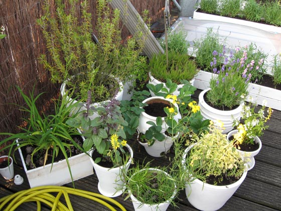Bureau Groene Zaken