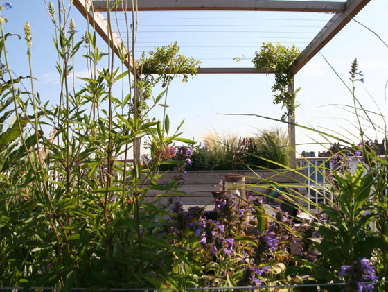 Bureau Groene Zaken