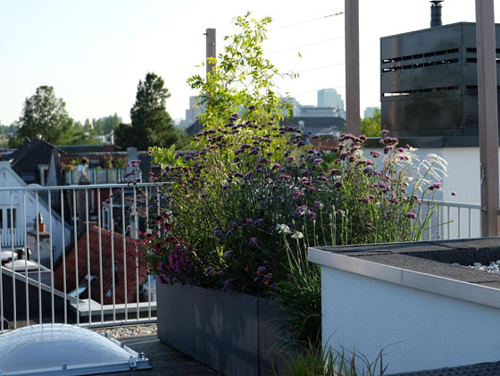 Bureau Groene Zaken